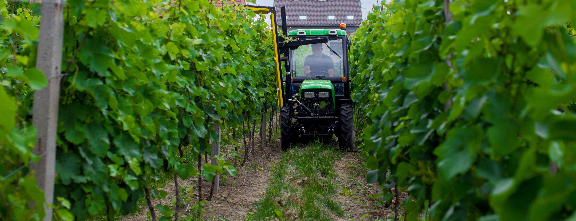 Szőlészeti munkagépek