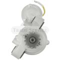 Kép