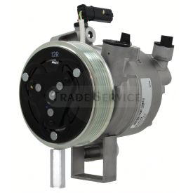 C813184M-IAM Valeo Klímakompresszor